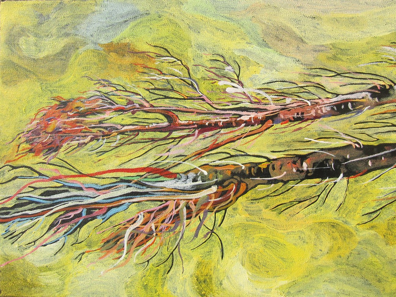 مجموعه طبیعت