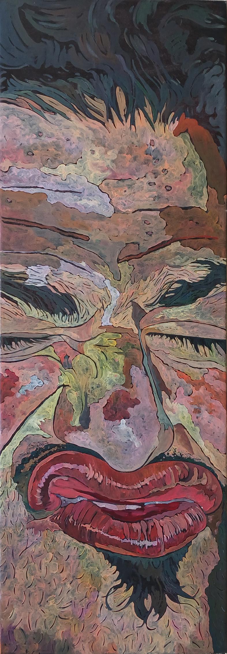 مجموعه خودنگاره